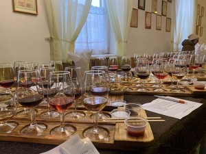 Дегустация натуральных вин на Иловском винзаводе