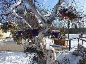 ��������