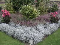 Цветы в городе Цветы в городе