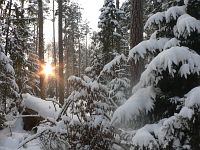 В Беловежской пуще В Беловежской пуще