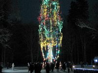 Живая ель - центр Поместья Деда Мороза Живая ель - центр Поместья Деда Мороза