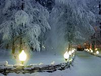 В Пуще вечером В Пуще вечером