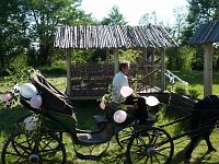 Катание на пролетках Катание на пролетках