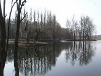 Кобрин. В парке Кобрин. В парке