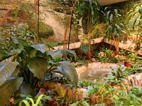 Цветы в интерьере отеля Цветы в интерьере отеля