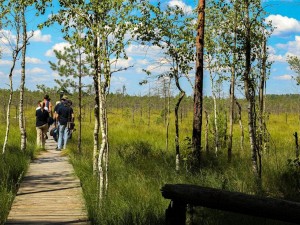 �� �����. ���� holiday.by