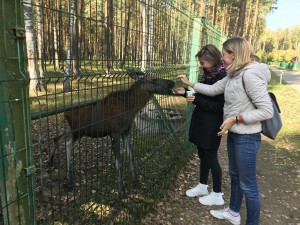 �������� �������