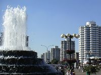 Возле Комаровского рынка Возле Комаровского рынка