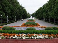 Бульвар на главной площади Бобруйска Бульвар на главной площади Бобруйска