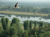 �� ���� ����� - �. �������� � ���� ��������