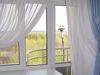 Вид из номера - аист Афанасий Вид из номера - аист Афанасий