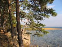 Берега Нарочи. Дот I Мировой войны Берега Нарочи. Дот I Мировой войны