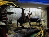 � ����� �������