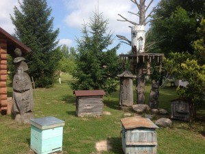 Пчеловодство - возле мастерской