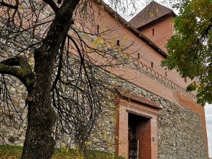 ������� �����, XIV ���