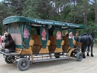 ������� �� ���������