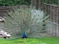 ������ � ����������