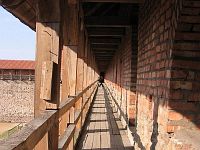 �� ����� ����� �������� � ����